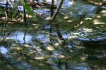 <img150*0:stuff/z/169023/Green%2520Lakes.3/i1277853926_41.jpg>