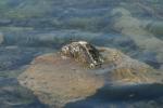 <img150*0:stuff/z/169023/Green%2520Lakes.4/i1277854290_11.jpg>