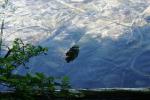 <img150*0:stuff/z/169023/Green%2520Lakes.4/i1277854290_12.jpg>
