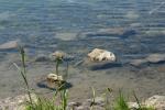 <img150*0:stuff/z/169023/Green%2520Lakes.4/i1277854290_13.jpg>