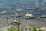 <img150*0:stuff/z/169023/Green%2520Lakes.4/i1277854290_15.jpg>