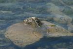 <img150*0:stuff/z/169023/Green%2520Lakes.4/i1277854290_6.jpg>