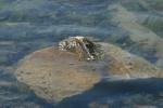 <img150*0:stuff/z/169023/Green%2520Lakes.4/i1277854290_9.jpg>