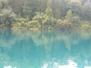 <img300*0:stuff/z/169023/Green%2520Lakes/i1247593017_11.jpg>