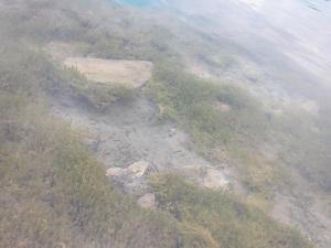 <img300*0:stuff/z/169023/Green%2520Lakes/i1247593017_19.jpg>