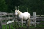 <img150*0:stuff/z/169023/HR4/i1280173418_1.jpg>