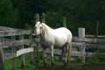 <img150*0:stuff/z/169023/HR4/i1280173418_2.jpg>