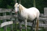 <img150*0:stuff/z/169023/HR4/i1280173418_4.jpg>