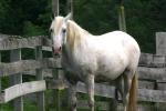 <img150*0:stuff/z/169023/HR4/i1280173418_5.jpg>