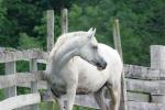 <img150*0:stuff/z/169023/HR4/i1280173418_7.jpg>