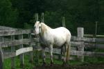<img150*0:stuff/z/169023/HR4/i1280173418_8.jpg>