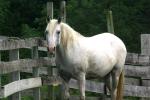 <img150*0:stuff/z/169023/HR4/i1280173419_10.jpg>