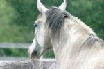 <img150*0:stuff/z/169023/HR4/i1280173419_11.jpg>