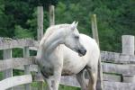 <img150*0:stuff/z/169023/HR4/i1280173419_13.jpg>