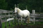 <img150*0:stuff/z/169023/HR4/i1280173419_14.jpg>
