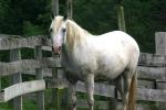 <img150*0:stuff/z/169023/HR4/i1280173419_16.jpg>
