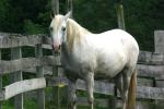 <img150*0:stuff/z/169023/HR4/i1280173419_17.jpg>