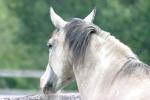 <img150*0:stuff/z/169023/HR4/i1280173419_18.jpg>