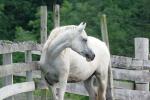 <img150*0:stuff/z/169023/HR4/i1280173419_19.jpg>