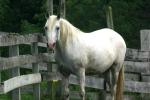 <img150*0:stuff/z/169023/HR4/i1280173420_22.jpg>