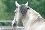 <img150*0:stuff/z/169023/HR4/i1280173420_23.jpg>