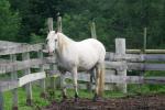 <img150*0:stuff/z/169023/HR4/i1280173420_26.jpg>