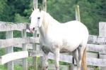 <img150*0:stuff/z/169023/HR4/i1280173420_27.jpg>