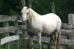 <img150*0:stuff/z/169023/HR4/i1280173420_28.jpg>