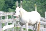 <img150*0:stuff/z/169023/HR4/i1280173421_32.jpg>