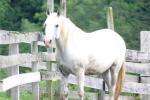 <img150*0:stuff/z/169023/HR4/i1280173421_33.jpg>