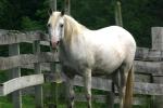 <img150*0:stuff/z/169023/HR4/i1280173421_34.jpg>