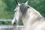 <img150*0:stuff/z/169023/HR4/i1280173421_35.jpg>