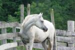 <img150*0:stuff/z/169023/HR4/i1280173421_36.jpg>