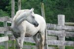 <img150*0:stuff/z/169023/HR4/i1280173421_37.jpg>