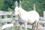 <img150*0:stuff/z/169023/HR4/i1280173421_38.jpg>