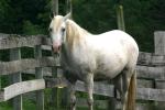 <img150*0:stuff/z/169023/HR4/i1280173421_40.jpg>