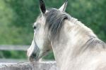 <img150*0:stuff/z/169023/HR4/i1280173421_41.jpg>