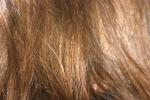 Hair Reference Photos