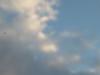 <img100*0:stuff/z/169023/Horizon%252042/i1259708531_7.jpg>