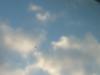 <img100*0:stuff/z/169023/Horizon%252042/i1259708532_26.jpg>