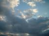 <img100*0:stuff/z/169023/Horizon%252042/i1259708533_35.jpg>