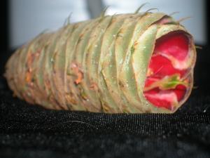 <img300*0:stuff/z/169023/It%2527s%2520%2528Mostly%2529%2520Green%2521/i1247258369_12.jpg>