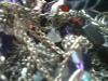<img100*0:stuff/z/169023/Jewelry%2520Photos%25202/i1263430139_19.jpg>