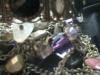 <img100*0:stuff/z/169023/Jewelry%2520Photos/i1263430160_34.jpg>