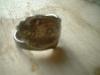 <img100*0:stuff/z/169023/Jewelry%2520Stock/i1259525858_2.jpg>