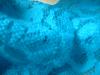 <img100*0:stuff/z/169023/Lacy%2520Blue%252023/i1259104164_7.jpg>