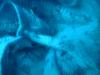 <img100*0:stuff/z/169023/Lacy%2520Blue%252023/i1259104165_14.jpg>