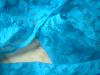 <img100*0:stuff/z/169023/Lacy%2520Blue%252023/i1259104165_16.jpg>