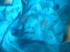 <img100*0:stuff/z/169023/Lacy%2520Blue%252023/i1259104165_19.jpg>