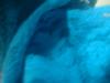 <img100*0:stuff/z/169023/Lacy%2520Blue%252023/i1259104165_20.jpg>